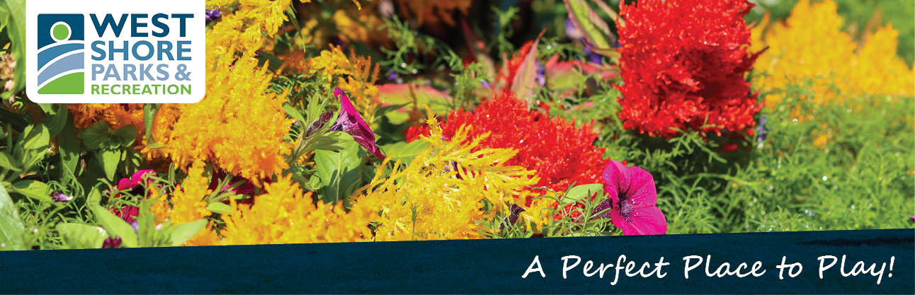 Rec Report banner: red, yellow, green autumn flowers