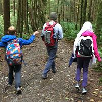 Walking in forest