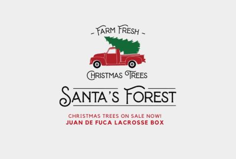 Santa's Forest